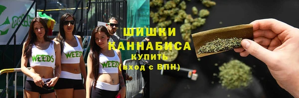 трава Беломорск