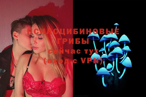 МДПВ Балабаново