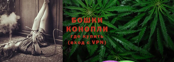 трава Беломорск