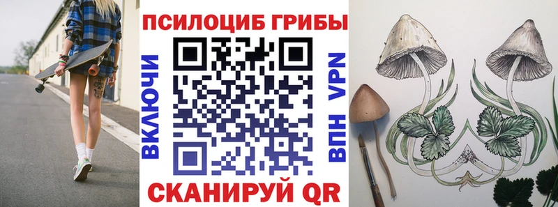 Галлюциногенные грибы Magic Shrooms  цена   Мариинский Посад 
