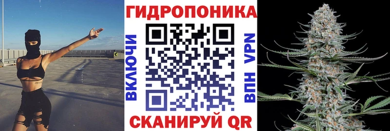 цены наркотик  Мариинский Посад  Бошки марихуана сатива 